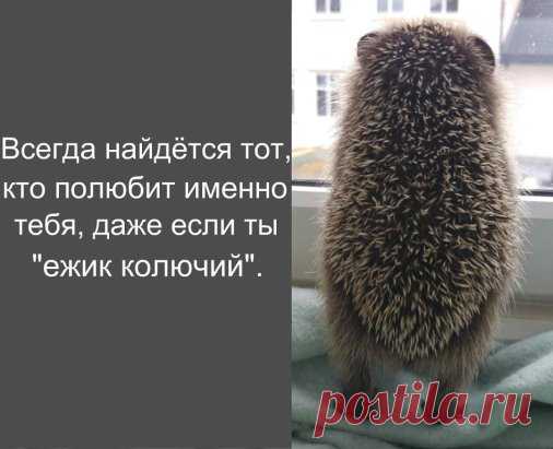 А ведь влюбляются не в красоту. Влюбляются в смех, вечно вьющиеся волосы, ямочки на щеках, родинку над губой или даже шрамик над бровью. А в красоту — нет. Красоту просто хотят. 
↓↓↓ Продолжение темы ЗДЕСЬ↓↓↓- ЖМИ↓↓↓