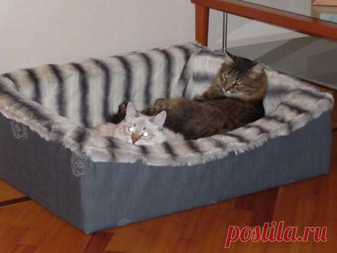 сделать домик для кошки своими руками: 128 тыс изображений найдено в Яндекс.Картинках