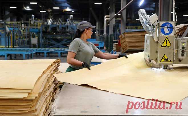 Россия удвоила поставки фанеры в Китай на фоне западных санкций. На фоне санкций в январе—сентябре 2022 года Россия увеличила в два раза поставки фанеры и шпона в Китай, до $175 млн. По данным «Рослесинфорга», часть этих пиломатериалов и изделий из российской березы затем поступает на Запад