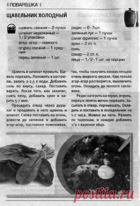 Щавельник холодный