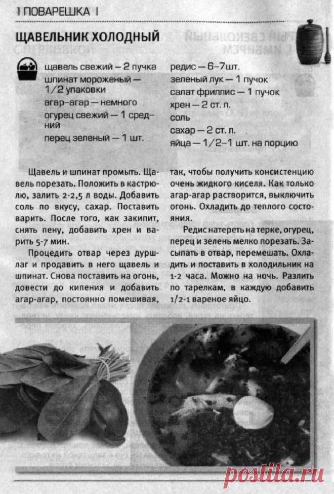 Щавельник холодный