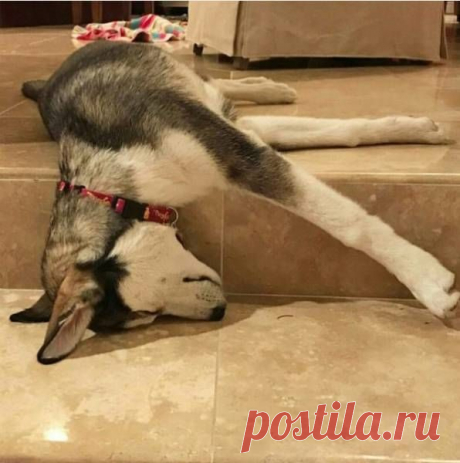 Утро добрым не бывает. 100% / Писец - приколы интернета