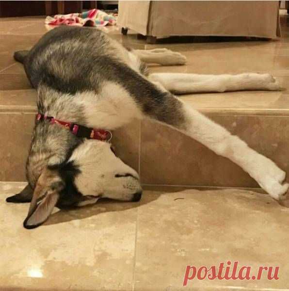 Утро добрым не бывает. 100% / Писец - приколы интернета