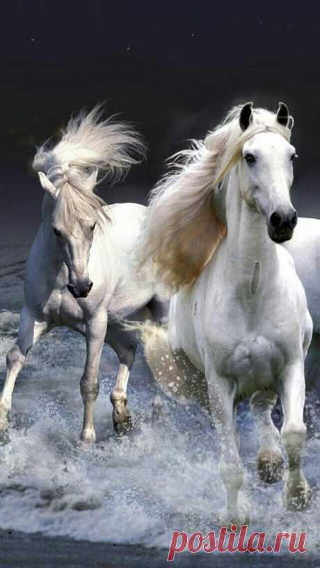 colorel11:
“via
”
