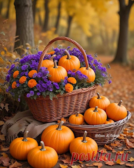 Пин на доске Fall In Love With Autumn