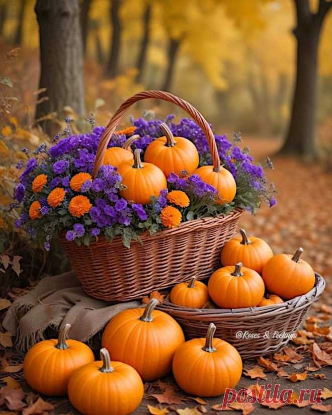 Пин на доске Fall In Love With Autumn