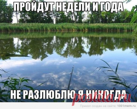 СОВЕТ 1 : ХОТИТЕ ВЕРЬТЕ, ХОТИТЕ НЕТ... Сохраните, чтобы не потерять.

Что же касается сорняков, то вот мой совет. Если вы 18 июня до часу дня удалите с огорода все сорняки, они больше не вырастут. Когда я впервые прочитала об этом в одной старинной книжке, сразу решилась на эксперимент — выбрала часть участка и до обозначенного срока уничтожила на нём все сорняки. В этот же год удостоверилась — сорняки росли везде, а на опытной делянке — ни одного! Можно только удивляться,...