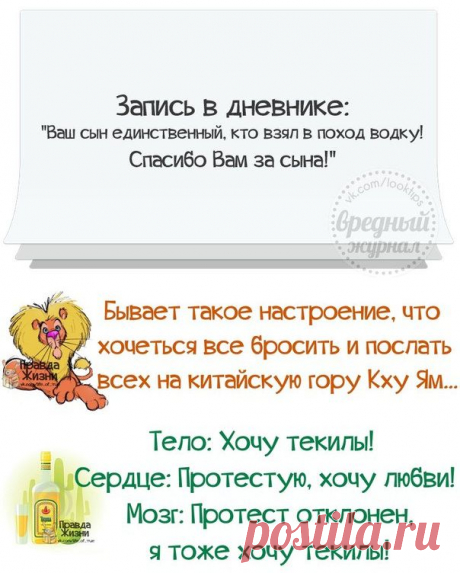 (+1) - Какие планы у тебя на сегодня ? | КРАСОТА И ЗДОРОВЬЕ