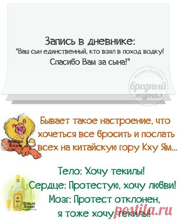 (+1) - Какие планы у тебя на сегодня ? | КРАСОТА И ЗДОРОВЬЕ