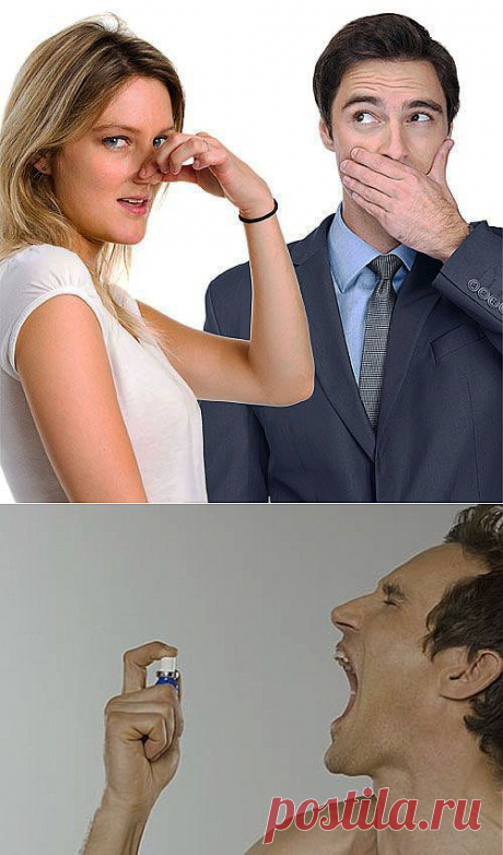 Во рту полк гусар ночевал? / Домоседы