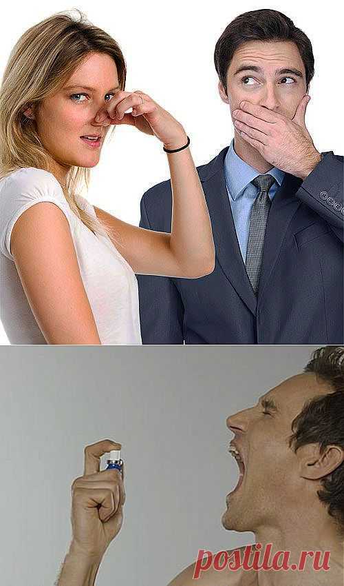 Во рту полк гусар ночевал? / Домоседы