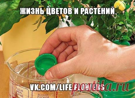 Мои закладки