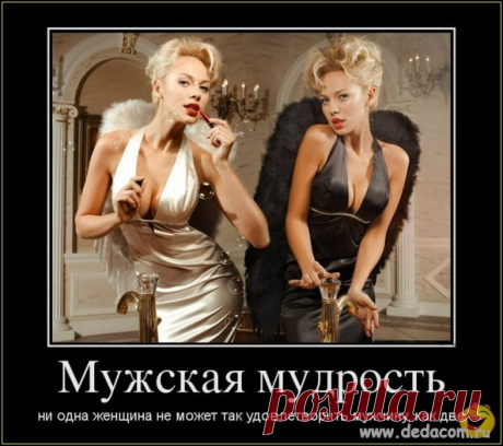 смешные картинки про работу с животными - Поиск в Google