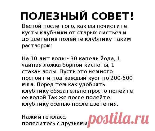 Gallery.ru / Фото #53 - Полезные советы - Engelis
