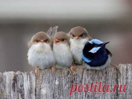 Мой Мир@Mail.Ru