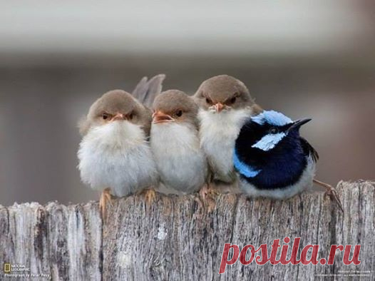 Мой Мир@Mail.Ru