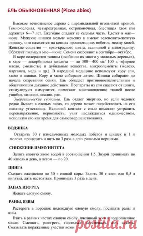 Ель обыкновенная.
Травник. Золотые рецепты народной медицины. Универсальный справочник. Москва 2007.