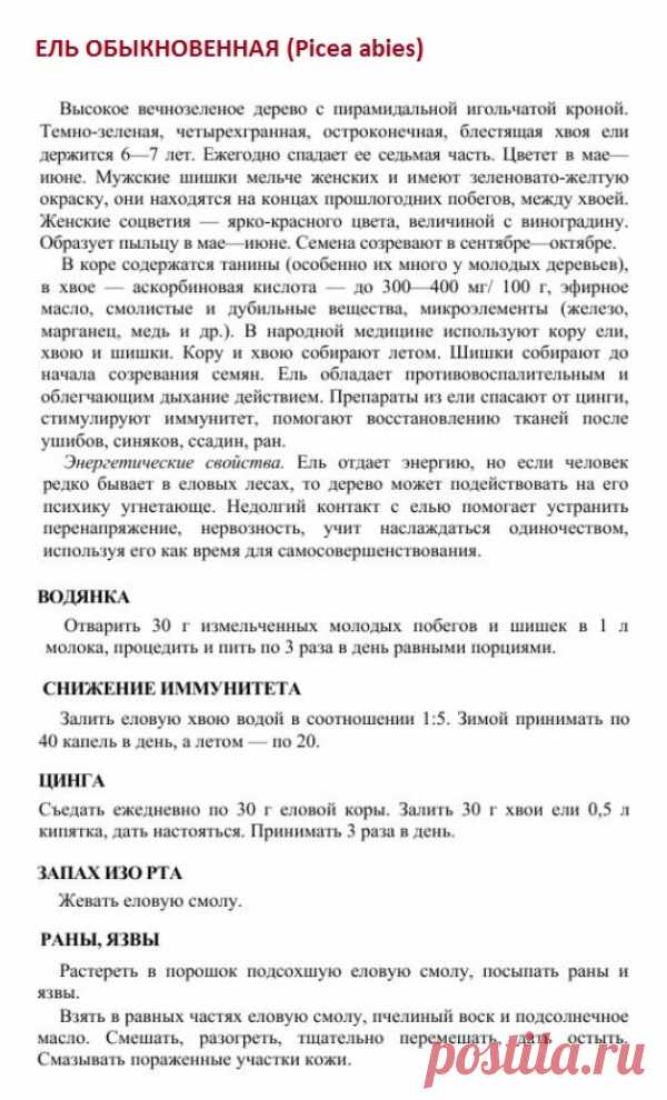 Ель обыкновенная.
Травник. Золотые рецепты народной медицины. Универсальный справочник. Москва 2007.