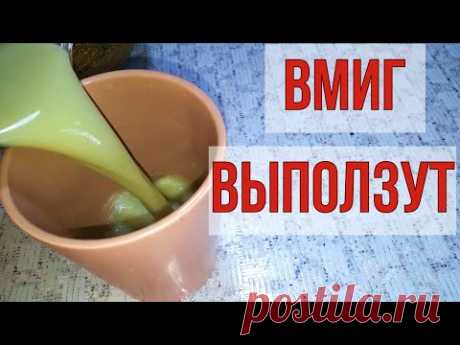 Глисты вмиг покинут кишечник. Аскариды, паразиты, грибки.