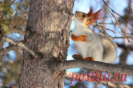 Тараторка — «Эй! вы там,наверху...» на Яндекс.Фотках