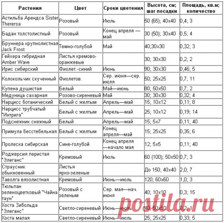 Какие цветы посадить в тени