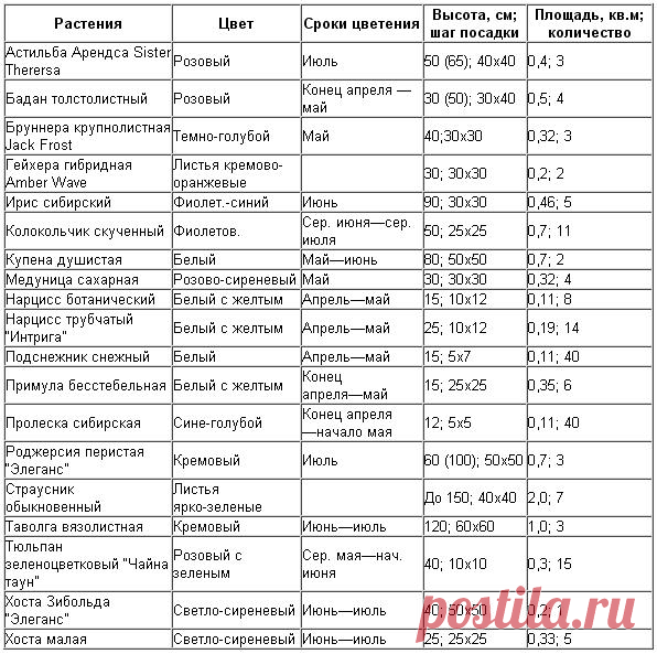 Какие цветы посадить в тени