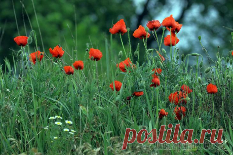 Фотомгновения 2018