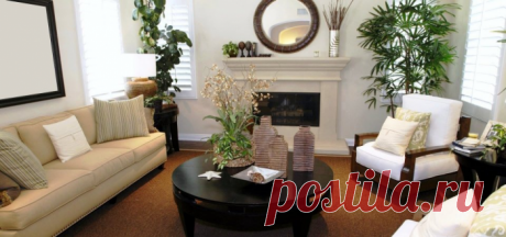 10 самых больших растений для интерьера: куда поставить, как ухаживать