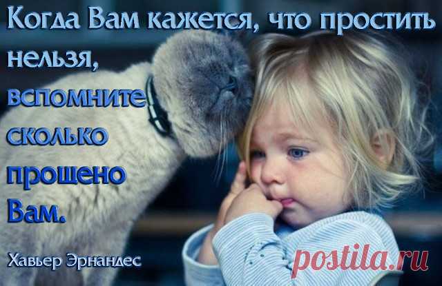 Умей  прощать  ошибки  и  обиды –
Так  снимешь  боль,  что  день  терзала  грудь.
Не  делай  примирения  для   вида:
Коли  простил, о  прошлом  позабудь!
И  если  предали  тебя  по  злобе,
А  твой  обидчик  был  изобличён,
Прости  его  и  зло срывать  не  пробуй!
Ты  тоже  будешь  Господом   прощён!

Толстой Д. В.