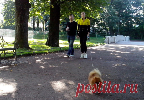 Туляки выгуливают собак в Центральном парке, несмотря на запрет – Блог. Run, пользователь Марина Николаева | Группы Мой Мир