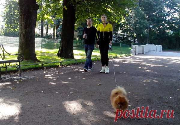 Туляки выгуливают собак в Центральном парке, несмотря на запрет – Блог. Run, пользователь Марина Николаева | Группы Мой Мир