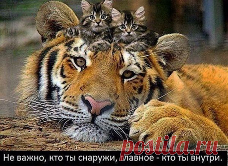 Необычные вещи в обычной жизни