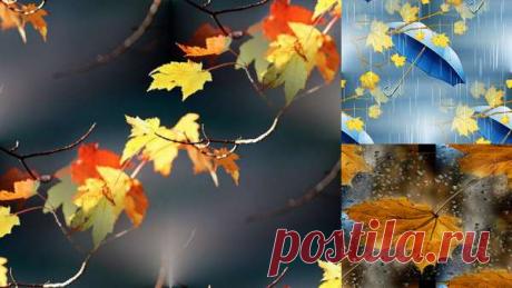 бесшовные осенние фоны: 6 тыс изображений найдено в Яндекс.Картинках
