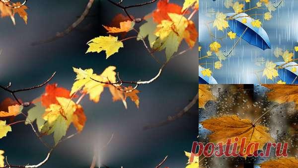 бесшовные осенние фоны: 6 тыс изображений найдено в Яндекс.Картинках