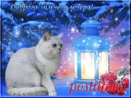 *** Доброго зимнего вечера ! - Лучшие плейкасты Смотреть лучшие плэйкасты - *** Доброго зимнего вечера !