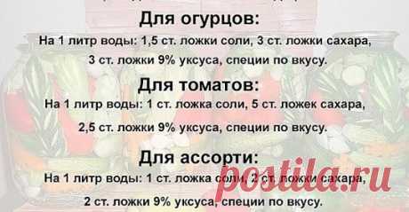 (13) Facebook