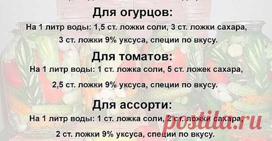 (13) Facebook