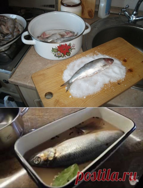 Как засолить селедку дома. Быстрый и простой рецепт.