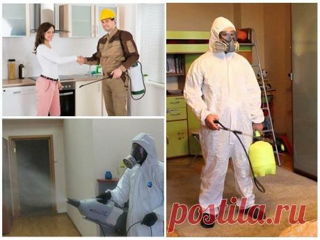 Главная - Услуги СЭС дезинфекция, дератизация и дезинсекция