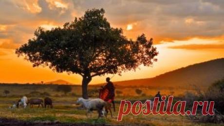 ***природа, природные явления,пейзажи | Записи в рубрике ***природа, природные явления,пейзажи | Дневник valniko77 Валентина Шумахер