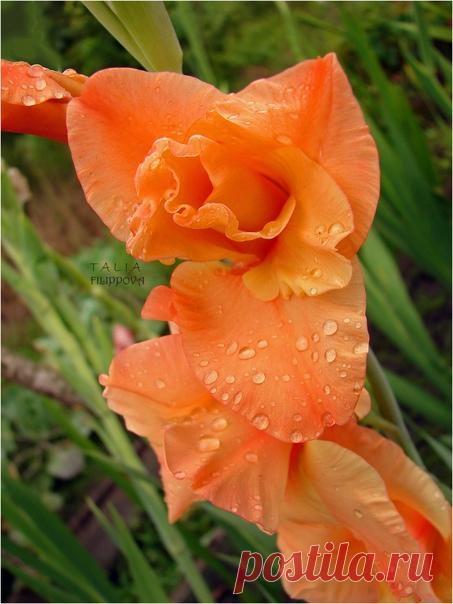 Утро доброе! 😊🧡