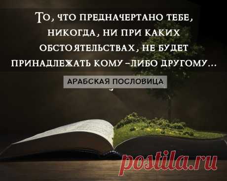 https://likvik.ru/