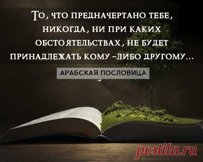 https://likvik.ru/