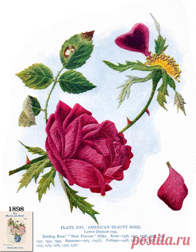 Belding Brothers XXI 1898