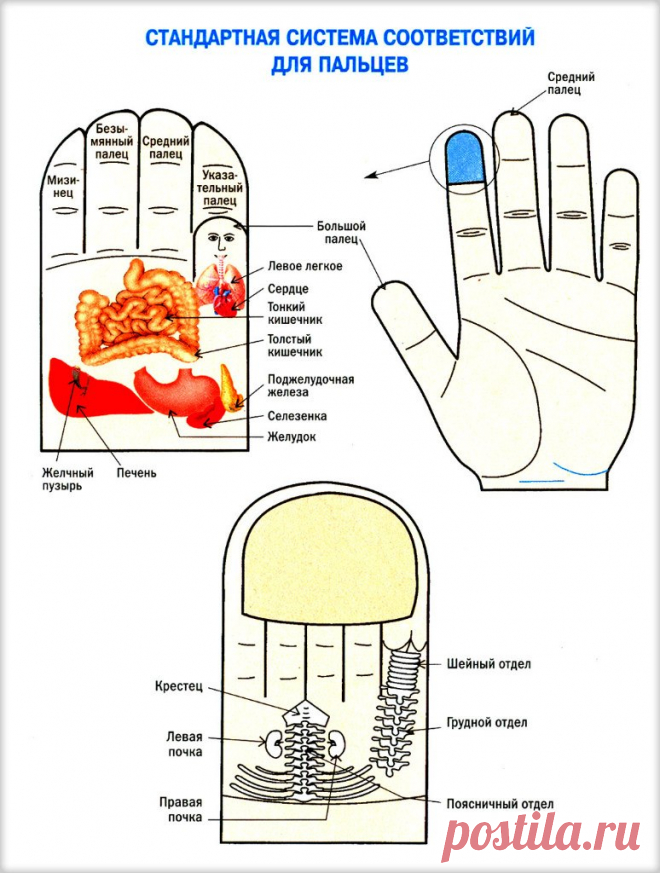 V0xrIjPWJiI.jpg (774×1024)