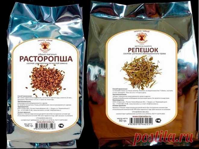 Очищение крови — один из способов оздоровления организма