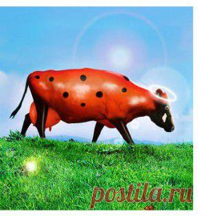 Цветы для начинающих | Самоцветик