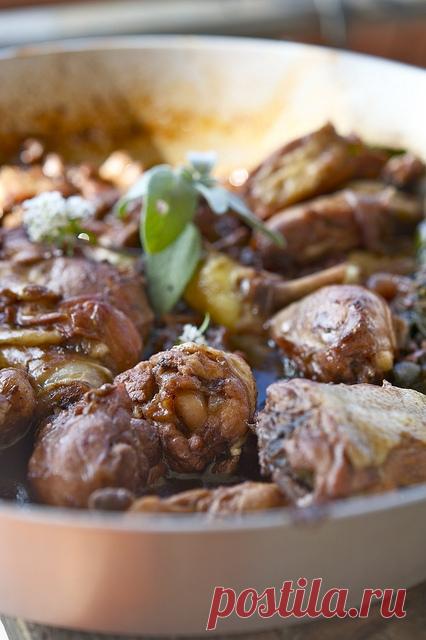 Курица в вине Кьянти / Pollo in Chianti (ricetta di Maria Luisa) | Элла Мартино Рецепты Кулинарные туры Итальянская кухня