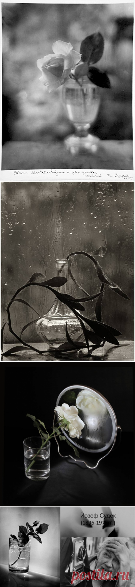 Мистические натюрморты фотографа Josef Sudek