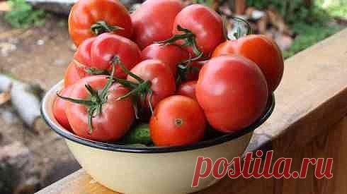 БРАЖКА ДЛЯ УРОЖАЯ ПОМИДОР